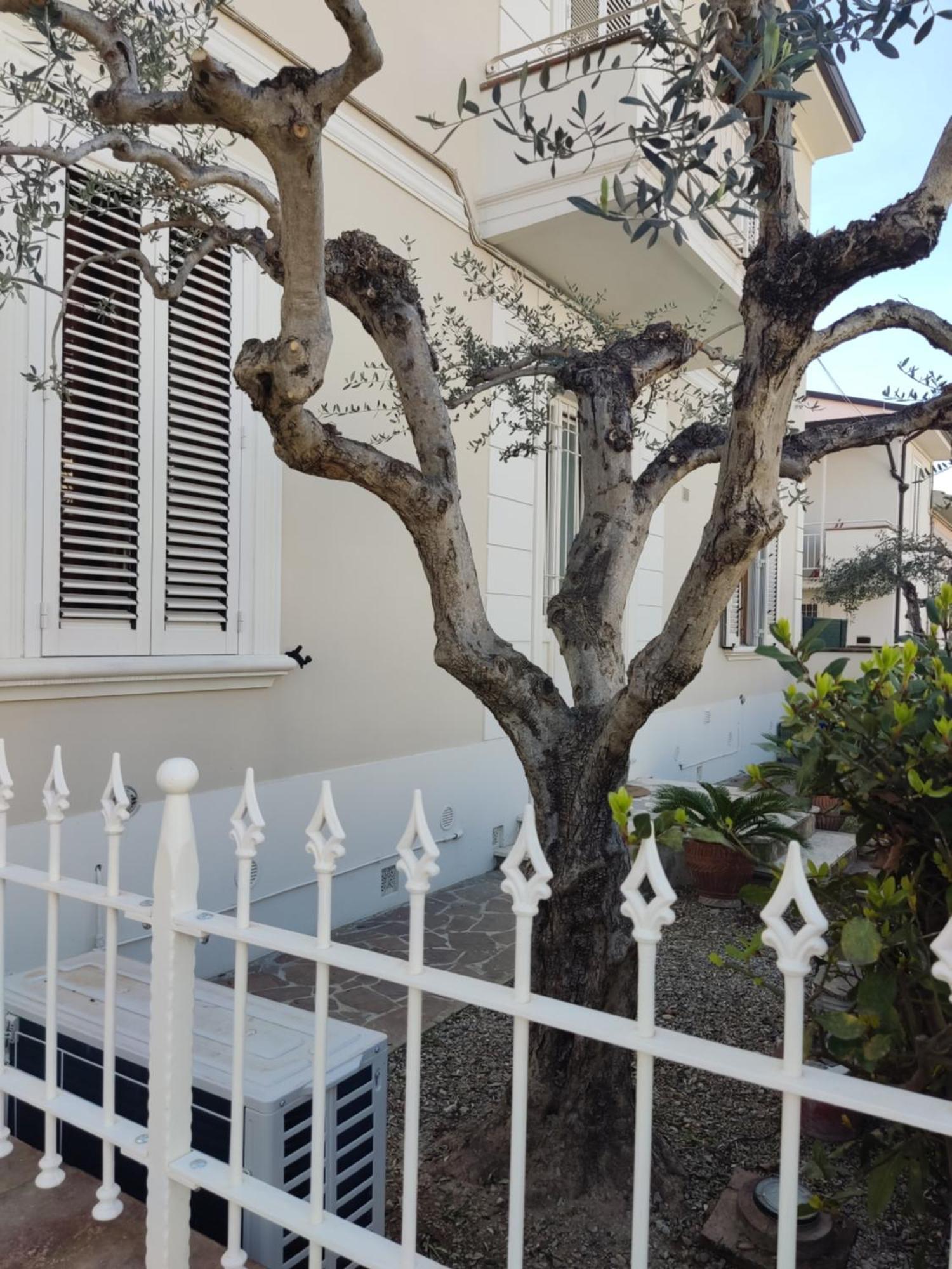 La Dimora Dei Conti Apartment Empoli Bagian luar foto